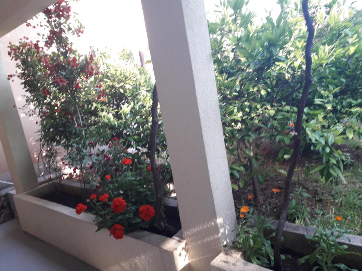 Apartments Petkovic Petrovac Εξωτερικό φωτογραφία