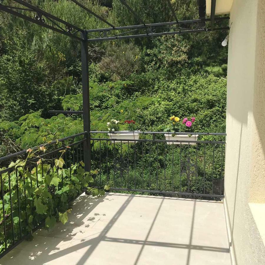 Apartments Petkovic Petrovac Εξωτερικό φωτογραφία